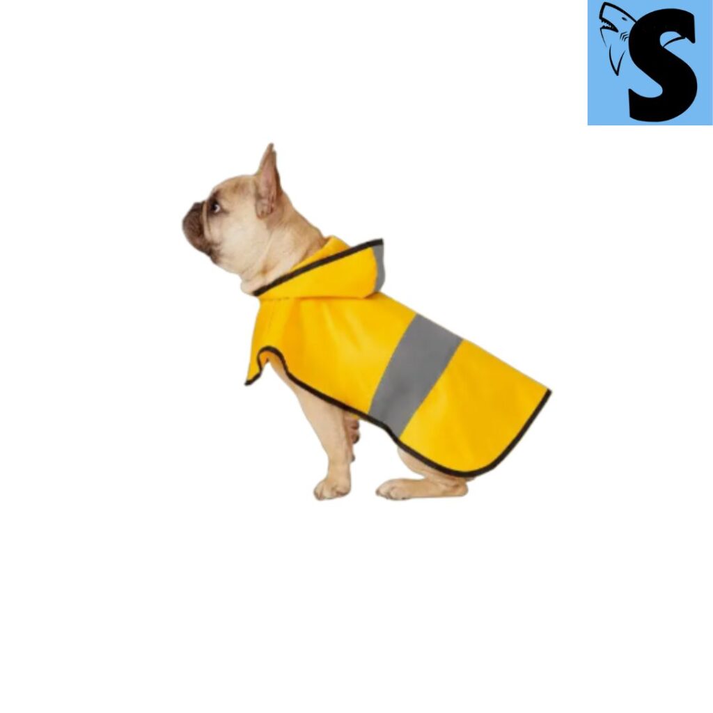 PawsIndia